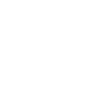 ICONOS MISION Y VISION_Mesa de trabajo 1 copia