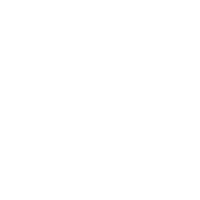 ICONOS MISION Y VISION_Mesa de trabajo 1